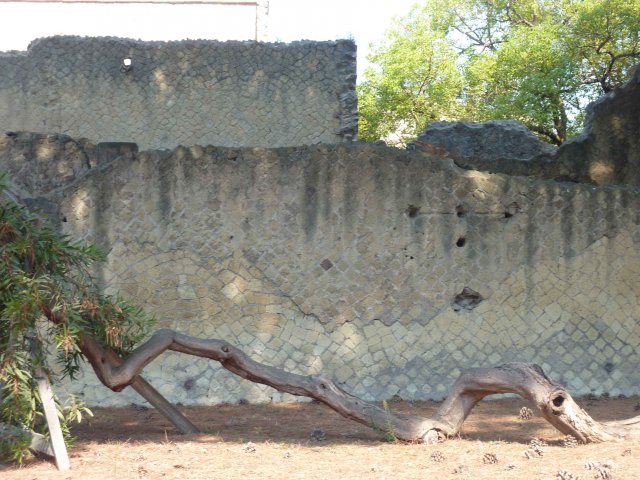 image ancien mur Herculanum