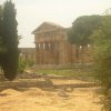Vue sur les temples de Paestum