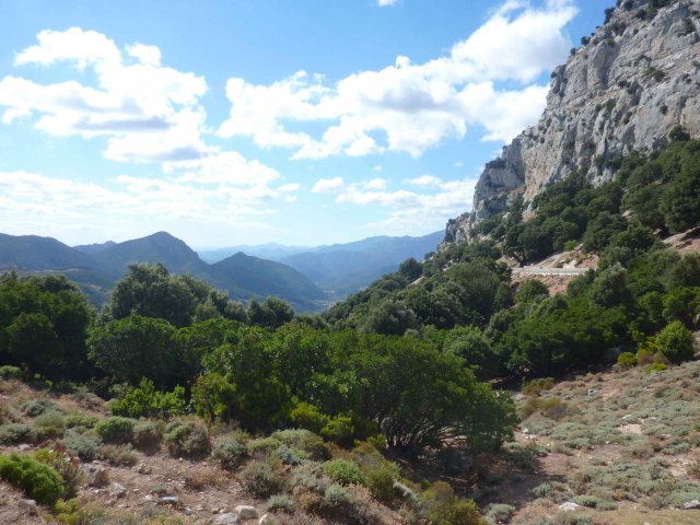 Photos de végétation dans les montagnes de Sardaigne en Septembre