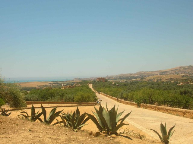 Photo long chemin de la vallée grecque de Agrigente