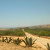 Photo long chemin de la vallée grecque de Agrigente