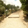 Photo du chemin du temple de Segeste