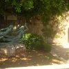 ombre et statue de Siracuse