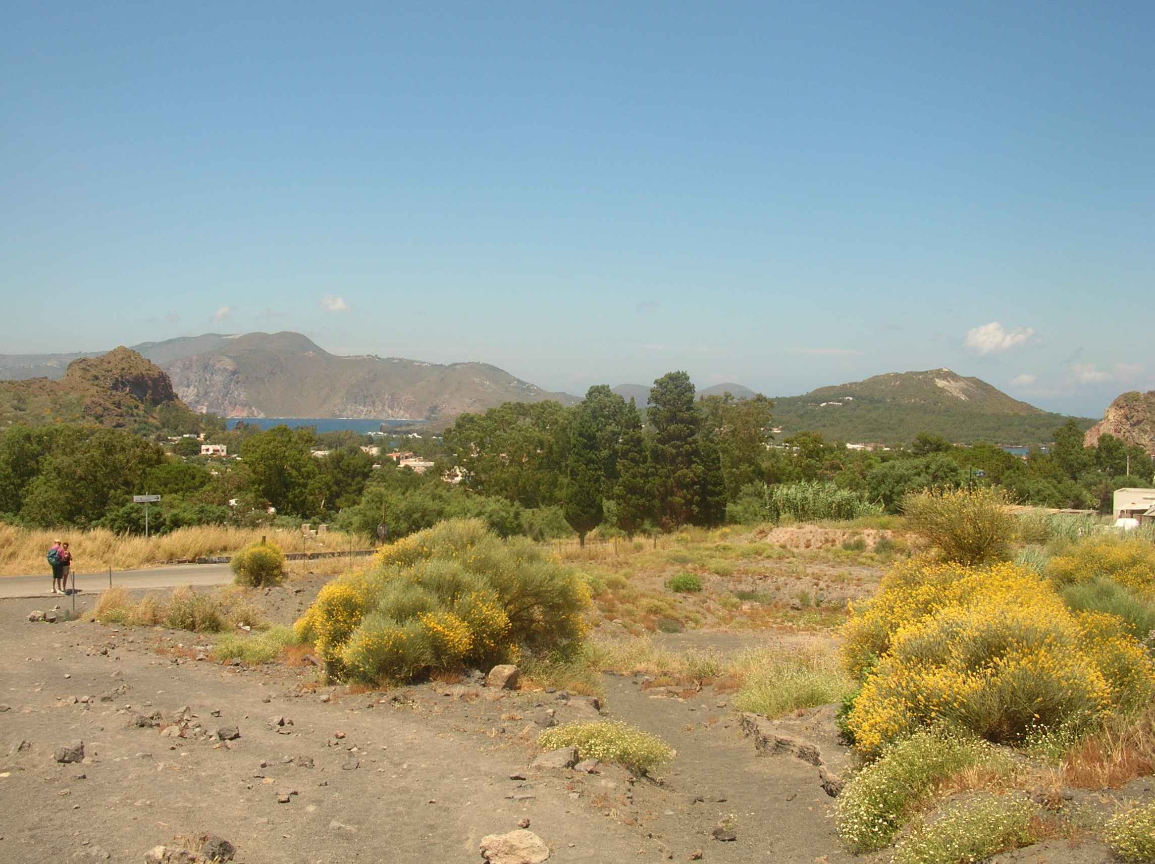 DSCN1020.jpg
