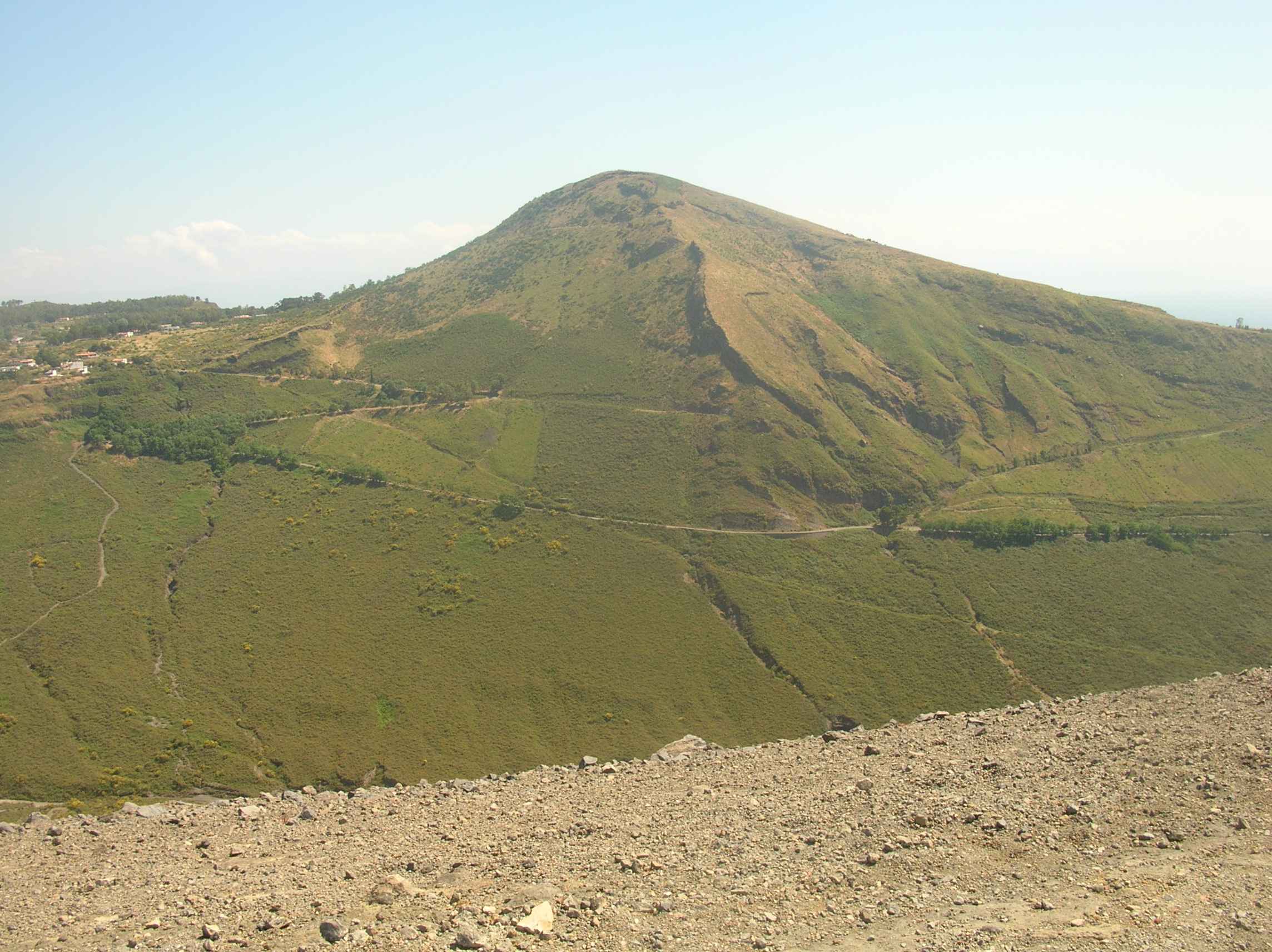 DSCN1106.jpg