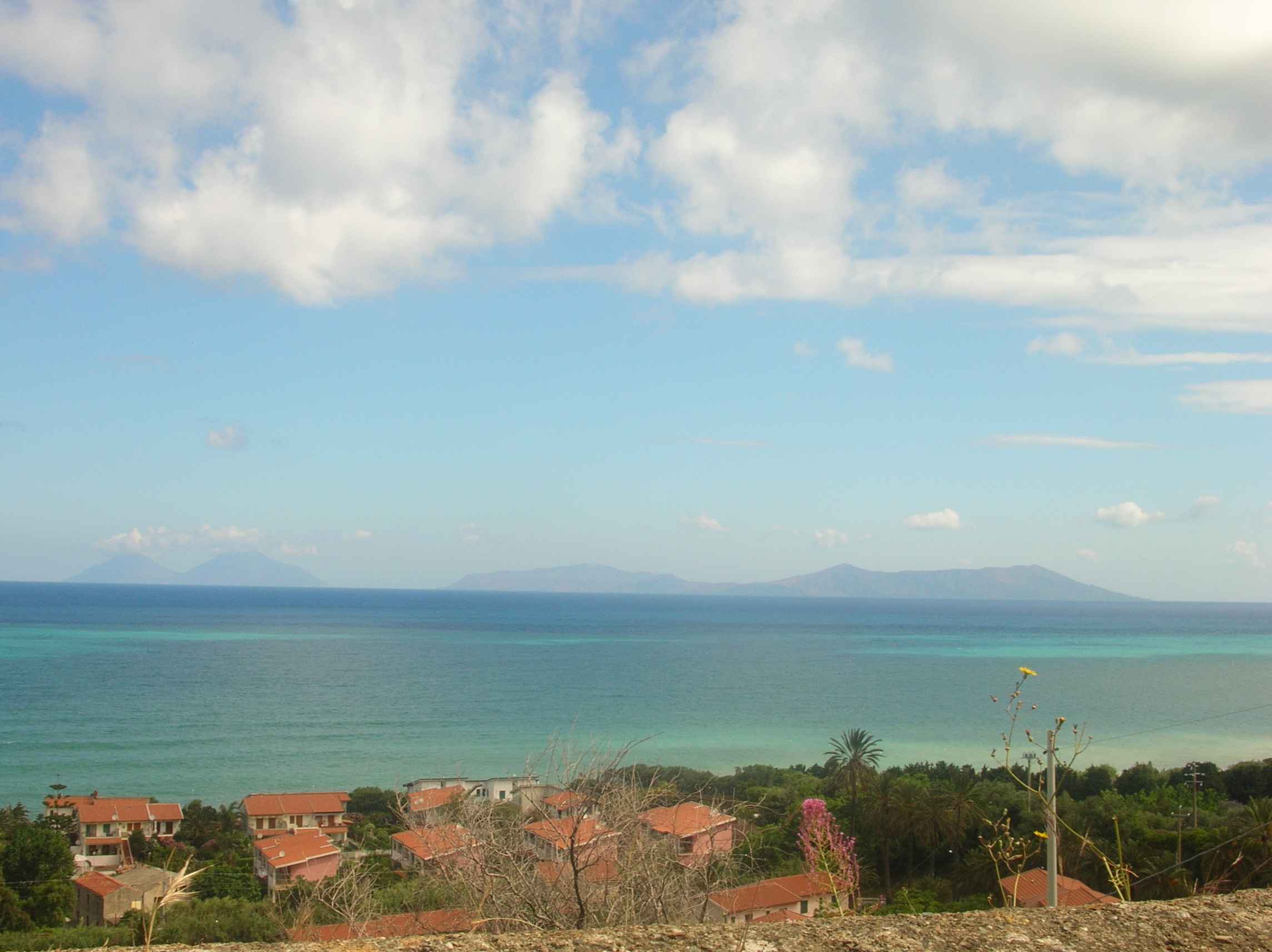 DSCN1169.jpg