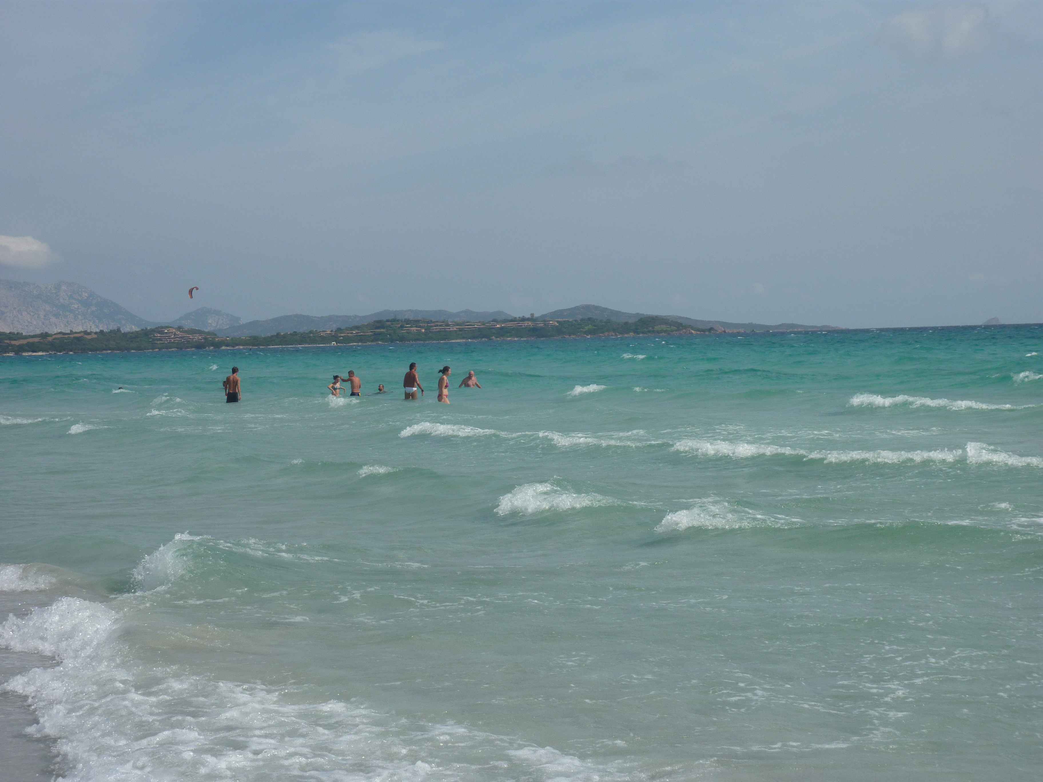 P1010512.jpg
