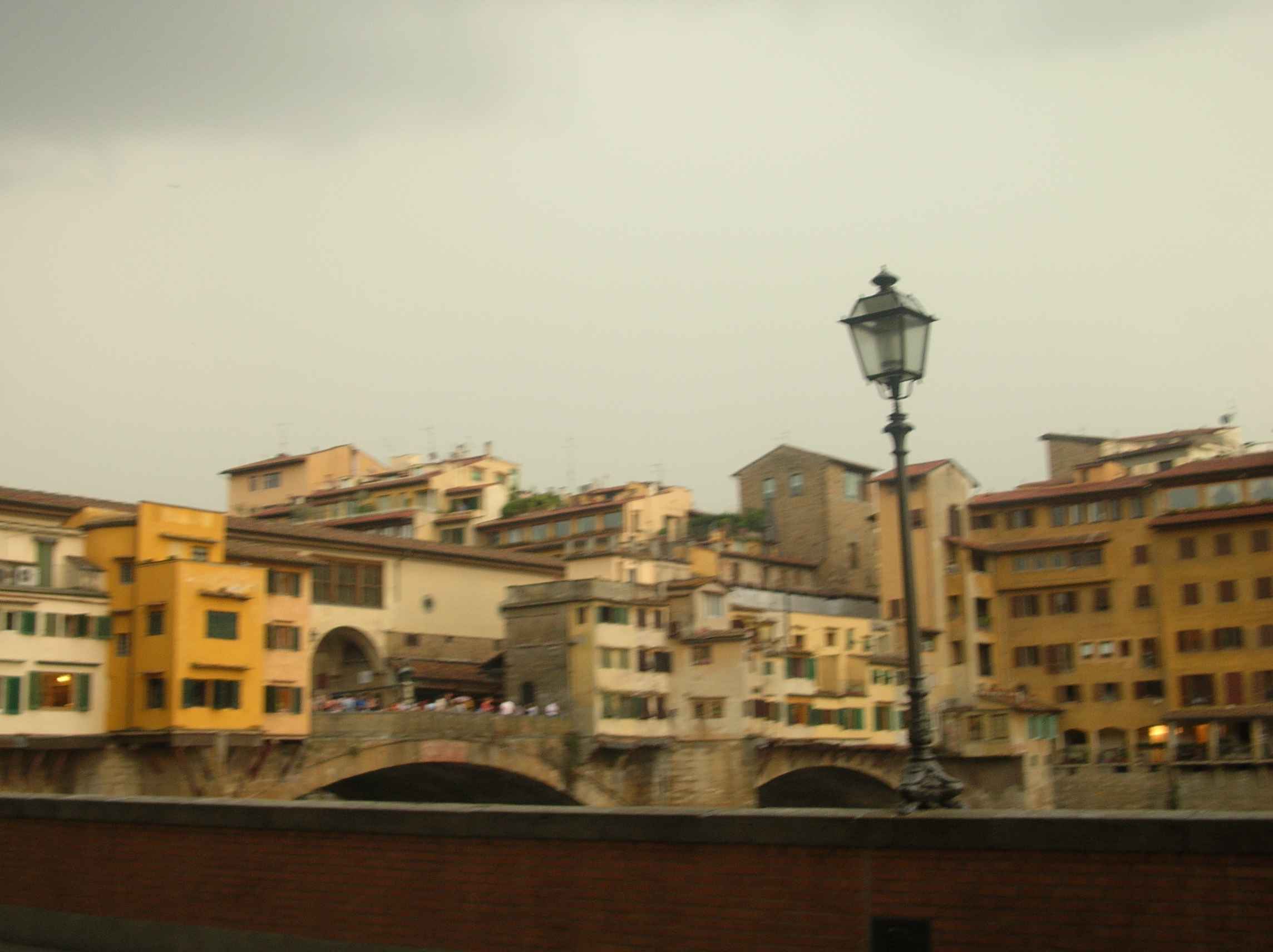 DSCN9781.jpg