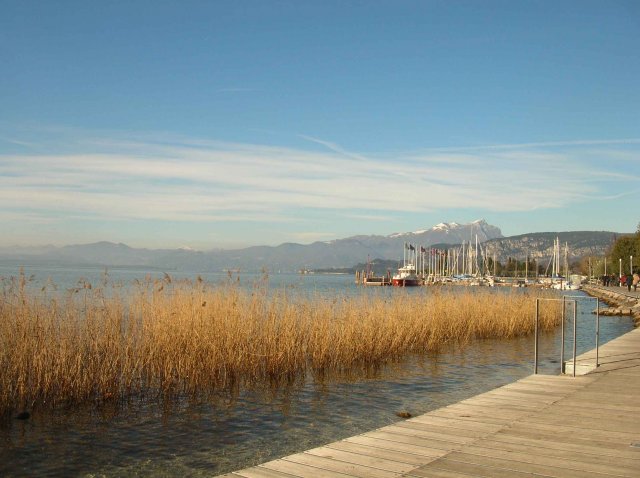 Photos végetation aquatique dans le Lac de Garde