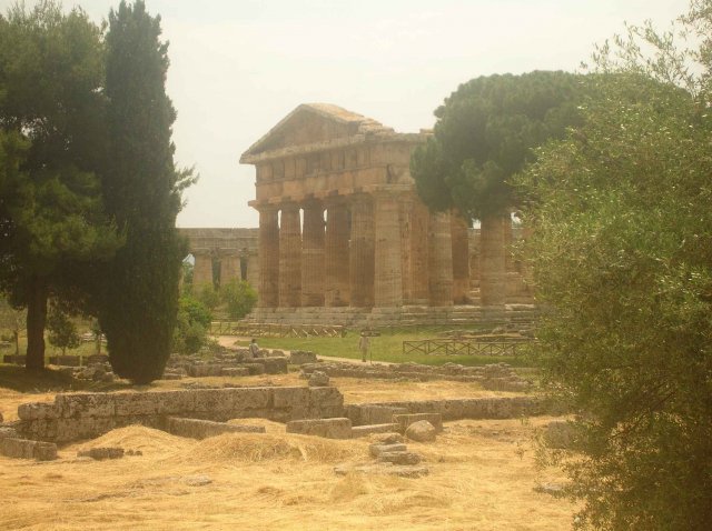 Vue sur les temples de Paestum