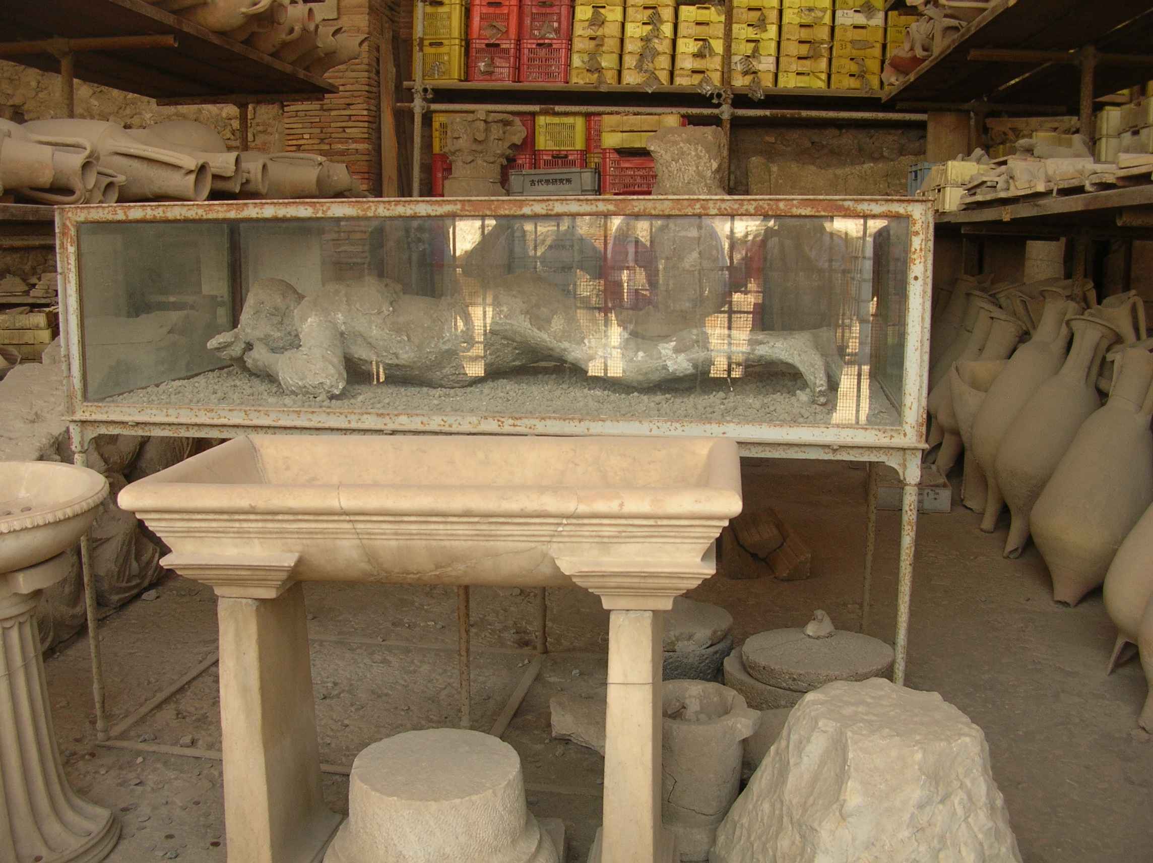 DSCN9518.jpg
