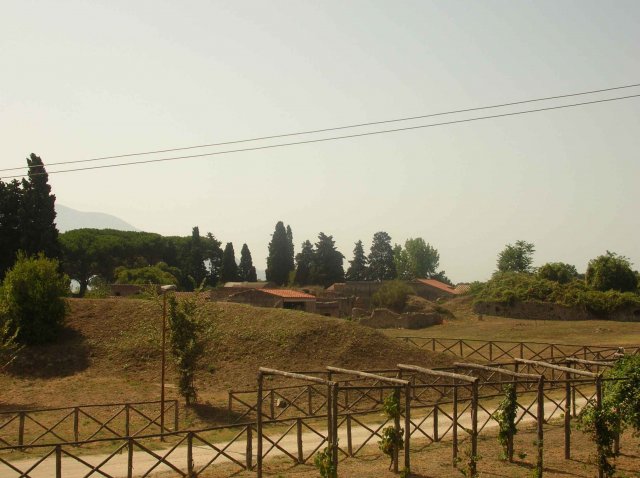 Pied de vigne dans Pompei