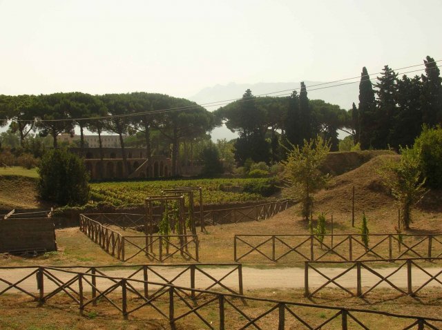 Photos de vigne et théâtre de Pompei