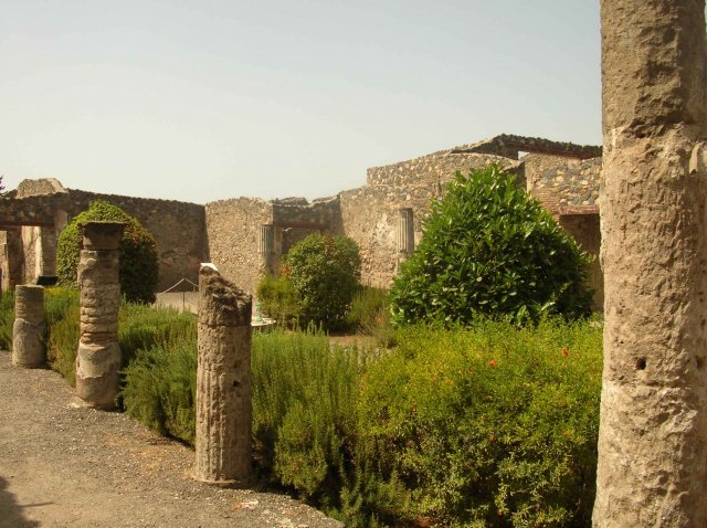 Colonnes et maisons de Pompei