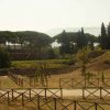 Photos de vigne et théâtre de Pompei