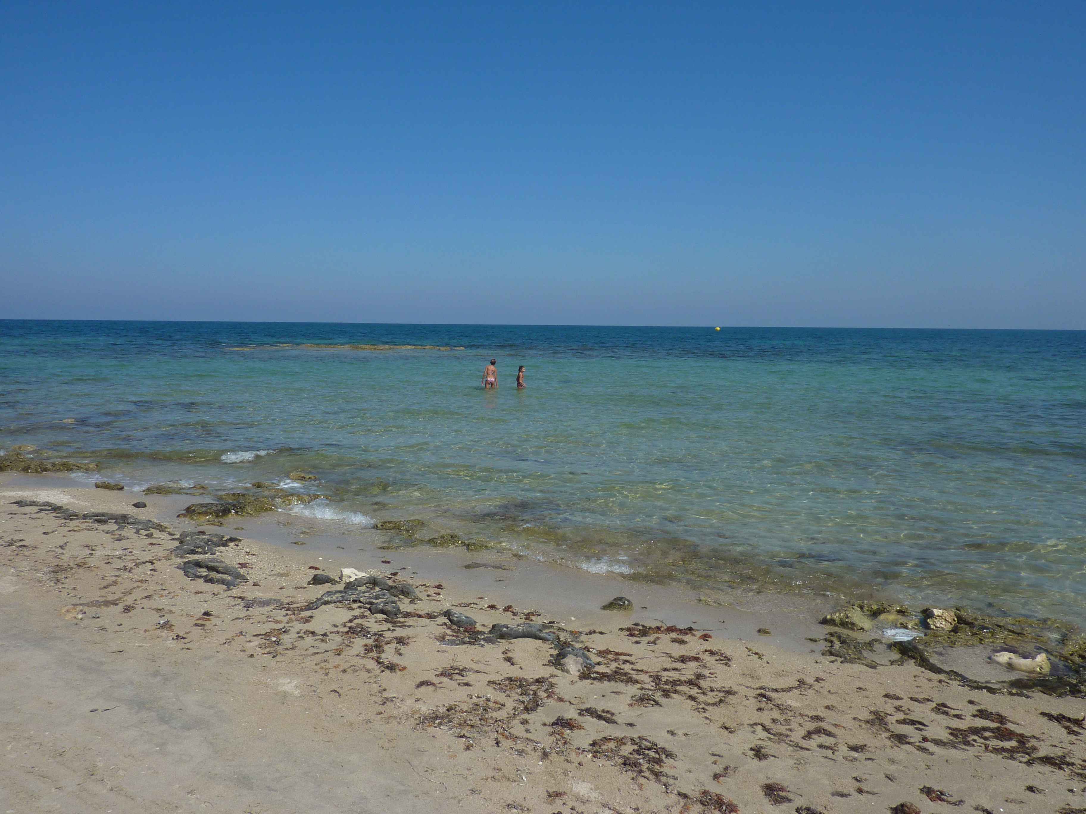 P1030803.jpg