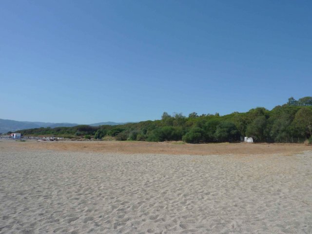 Photos pinéde sur la plage des pouilles