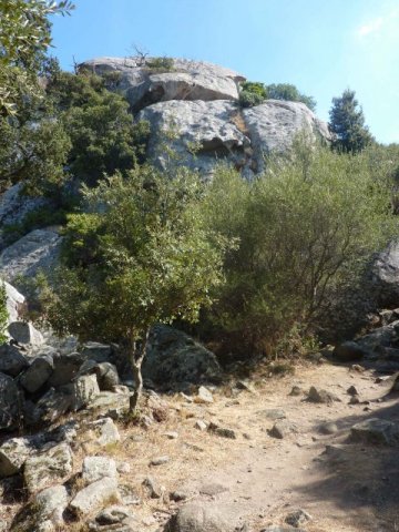 Photos nuraghe caché sur une route de pinéde en Italie
