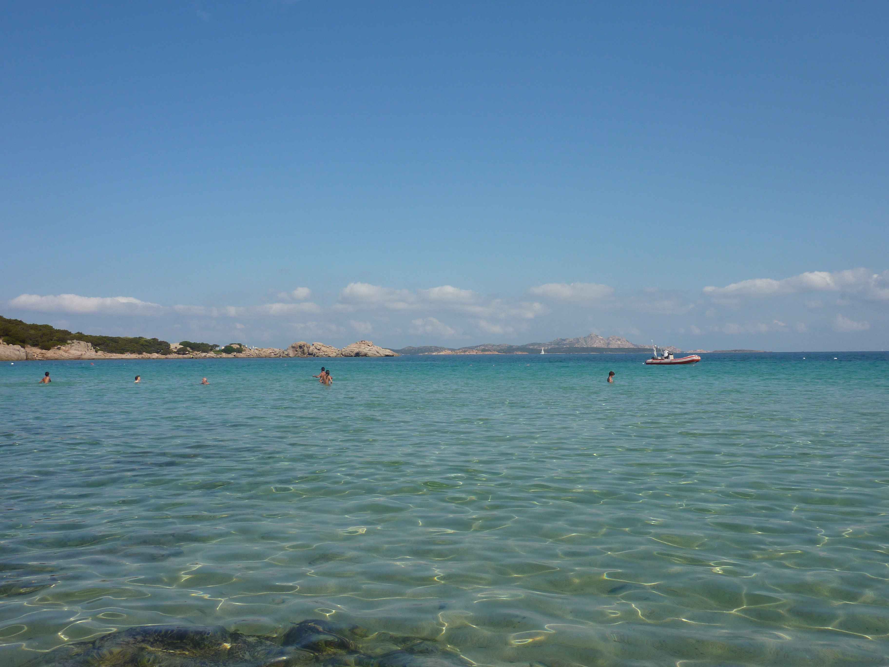 P1010466.jpg