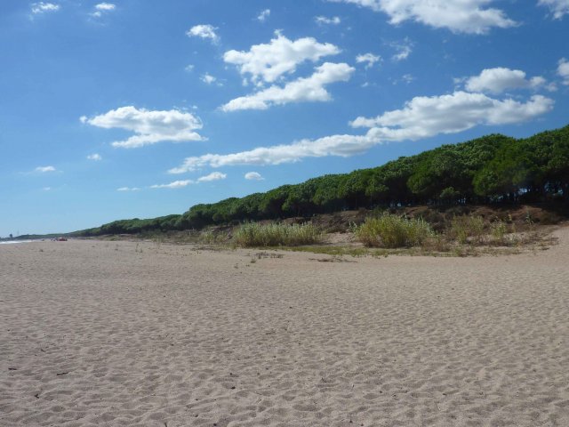 très longue plages de sable fin en Sardaigne