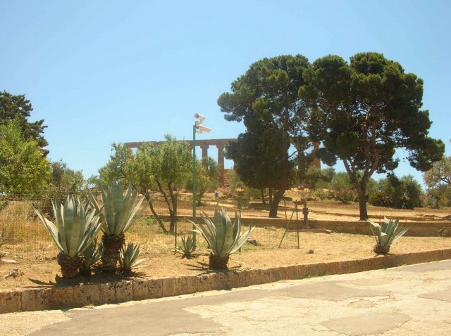 Photos des temples de Agrigente Sicile