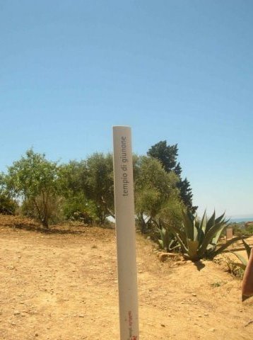 Colonne dans le chemin de la vallée des temples