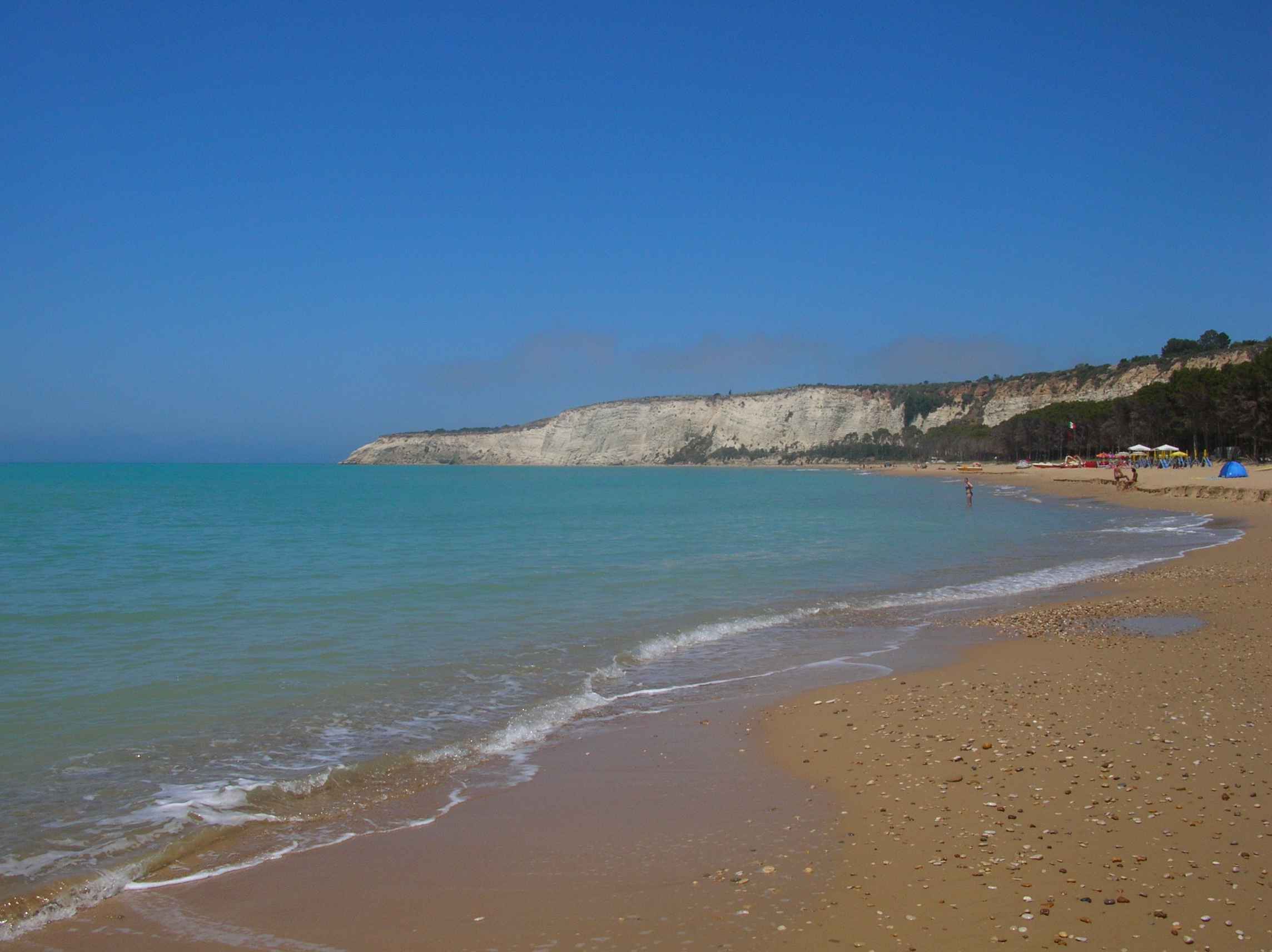 DSCN1290.jpg