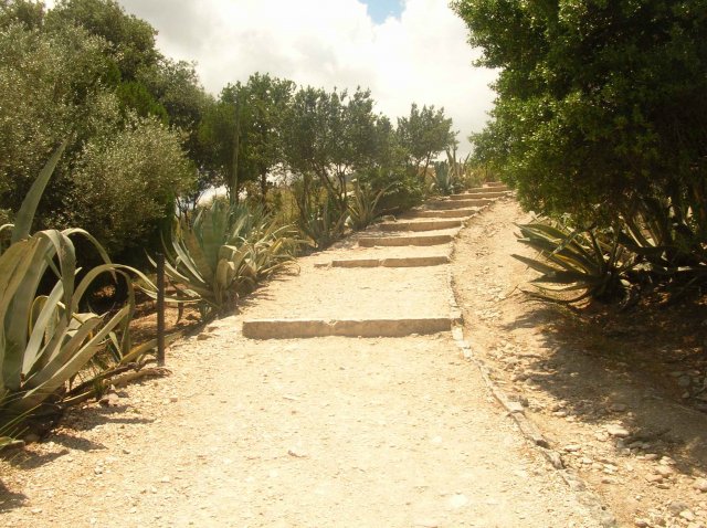 Photo du chemin du temple de Segeste