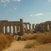 Photos colonne de temple de Selinonte