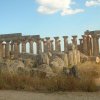 vue de temple de Selinonte
