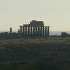 plus beau temple de Selinonte
