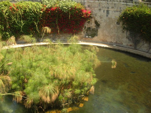 point d'eau à Siracuse